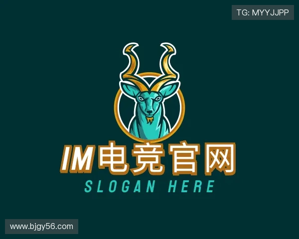 认识im电竞官网