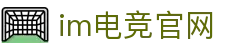 im电竞·(中国)电子竞技平台